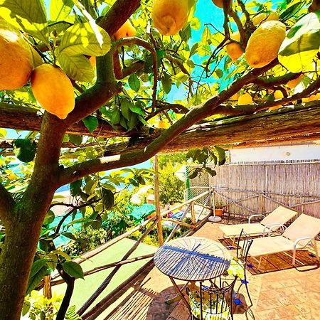 Apartament Emotion Praiano Zewnętrze zdjęcie